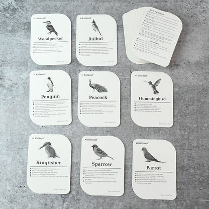 KidKraft Early Learner Educational Flashcards – 32 Birds