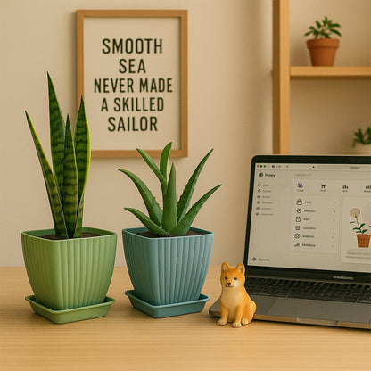 Trendy Square Plastic Flower Pots Set of 5